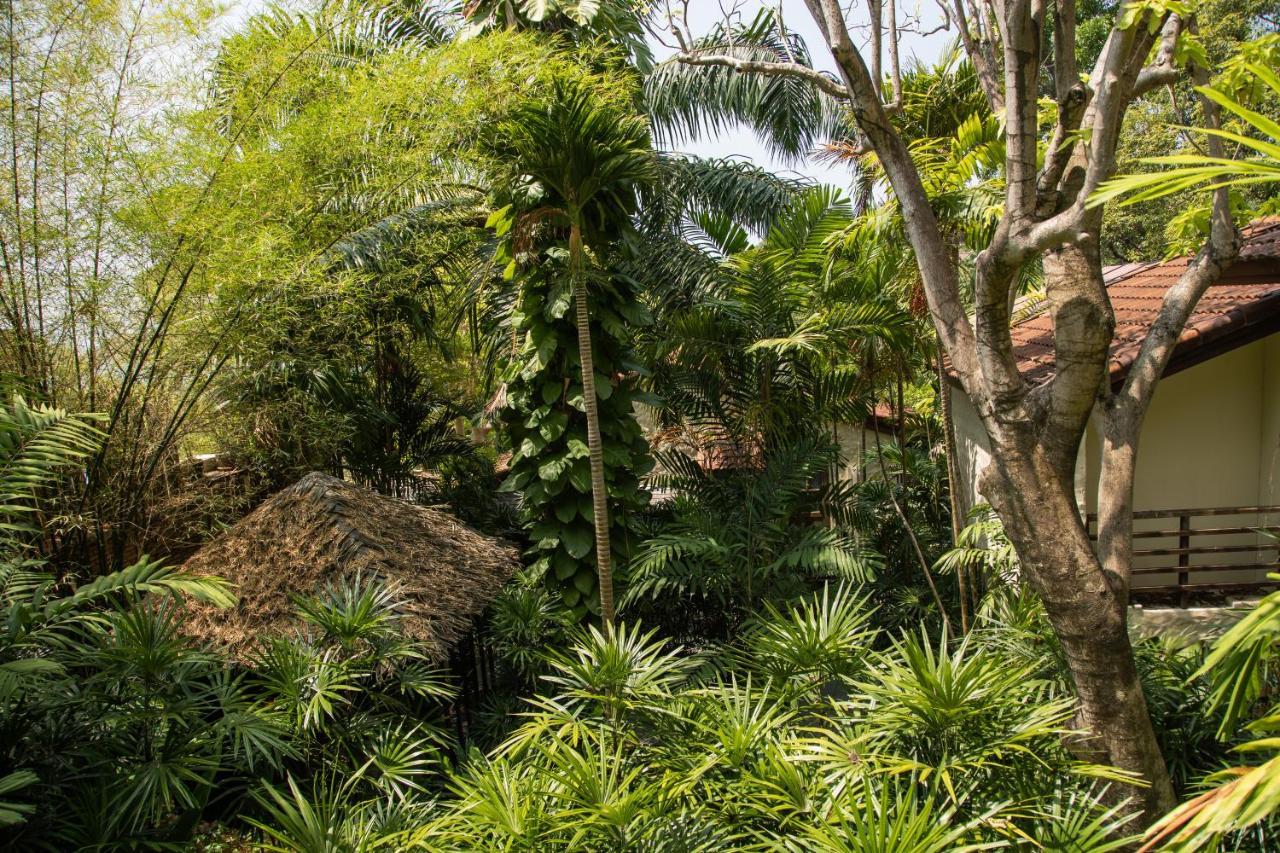 Garrya Tongsai Bay Samui Hotel Choeng Mon Exterior photo A view of the garden